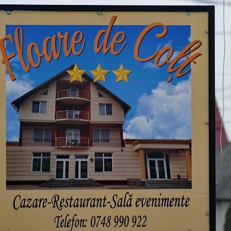 Floare De Colt Hotell Berbesti Exteriör bild