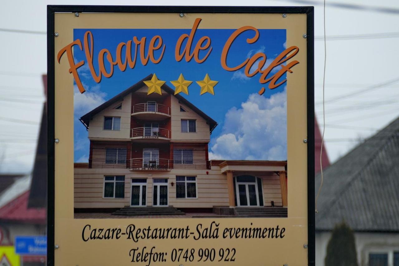 Floare De Colt Hotell Berbesti Exteriör bild